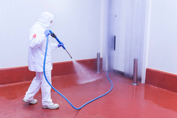 Trusted Veneta, OR Pressure Washing Experts