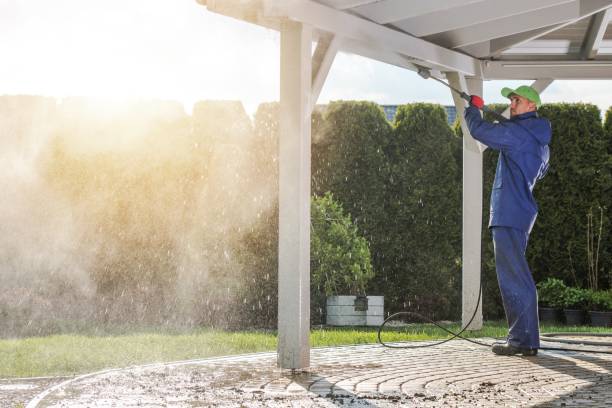 Pre-Holiday Cleaning in Veneta, OR