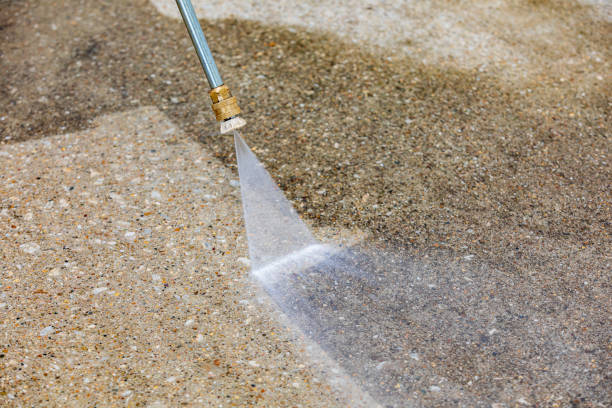 Best Driveway Pressure Washing  in Veneta, OR